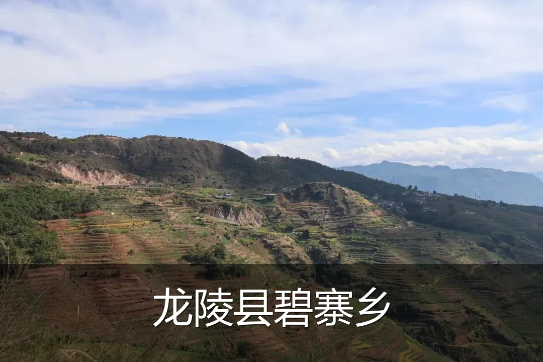 龙陵县碧寨乡